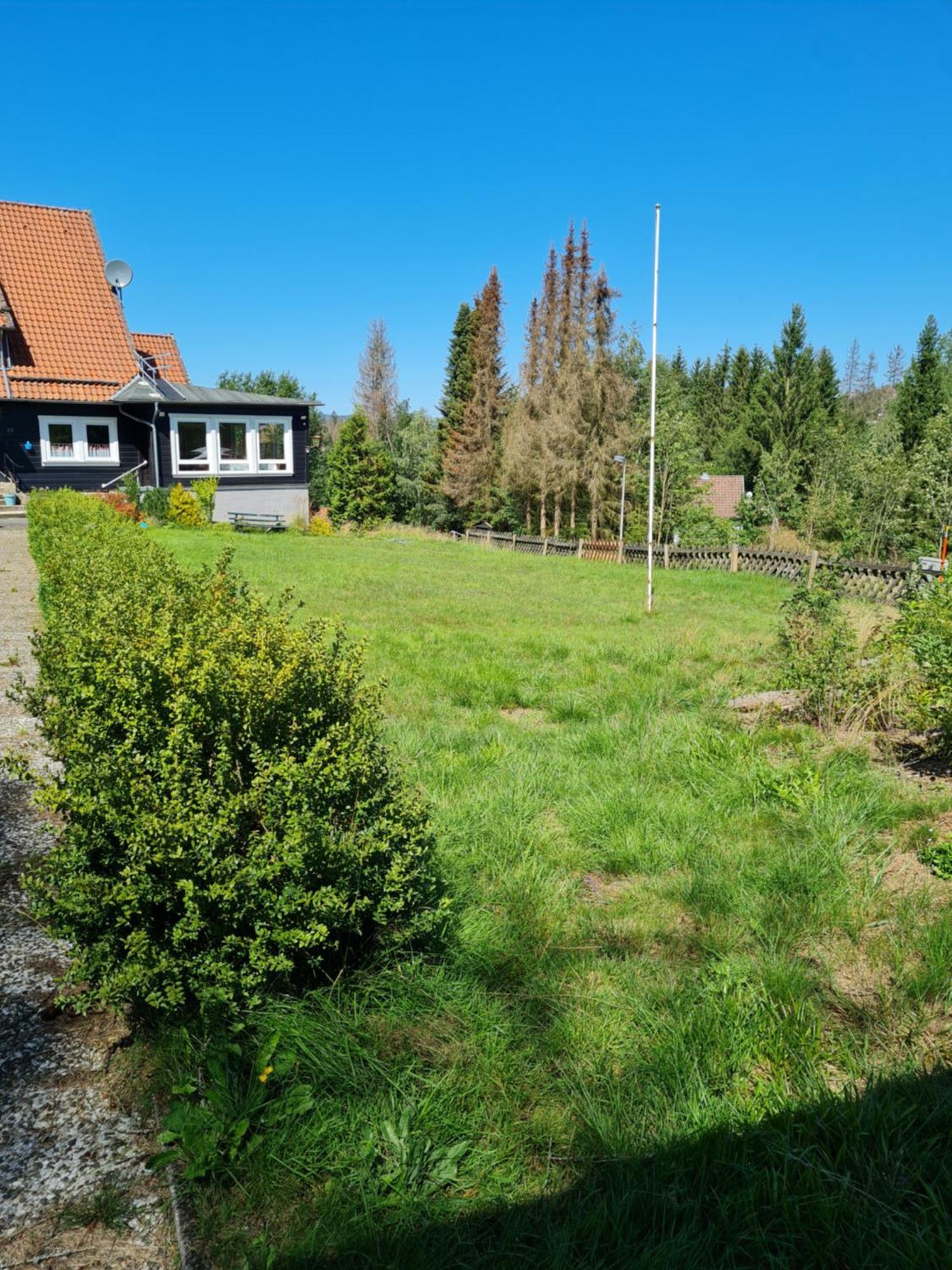 Welt Lodge Altenau  Kültér fotó