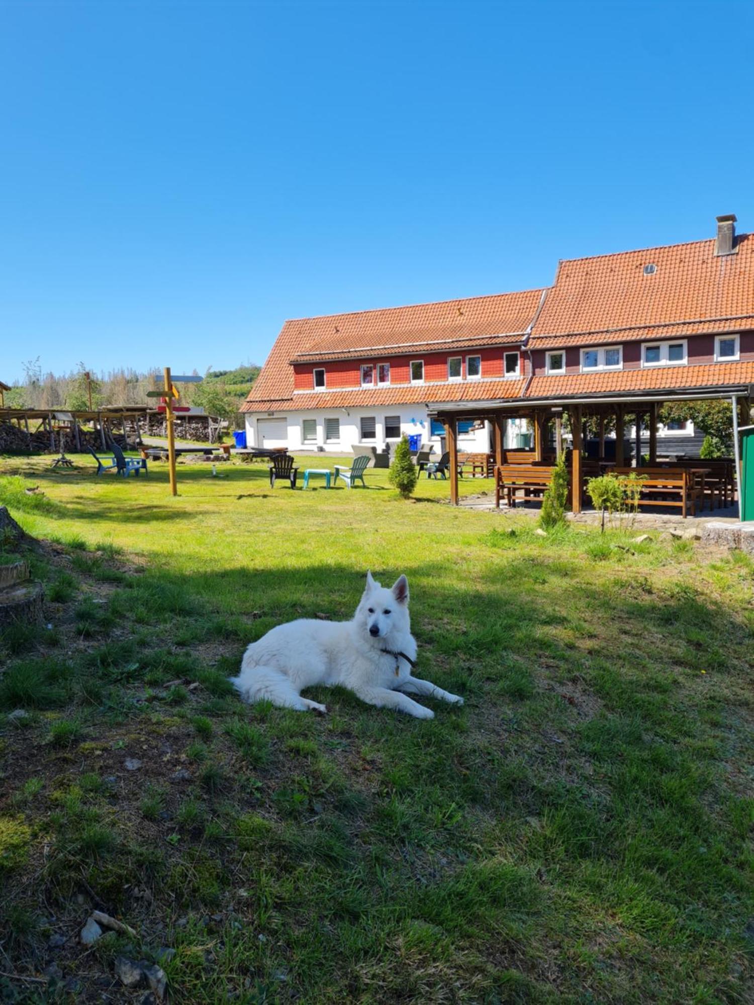 Welt Lodge Altenau  Kültér fotó