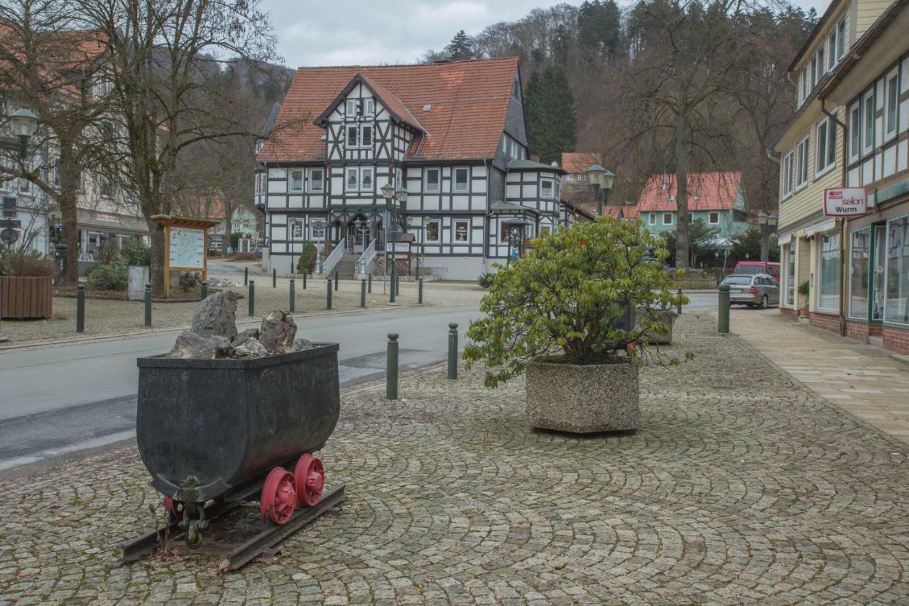 Welt Lodge Altenau  Kültér fotó