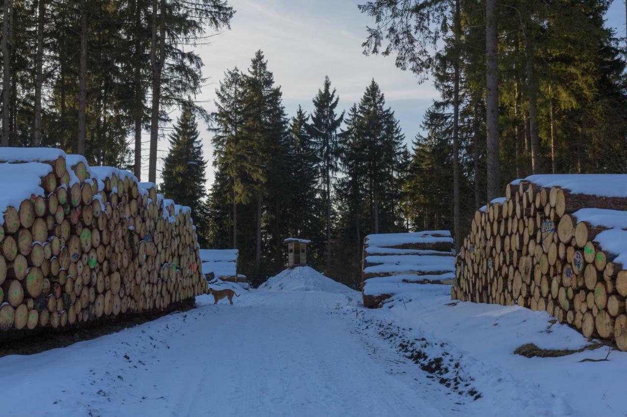 Welt Lodge Altenau  Kültér fotó